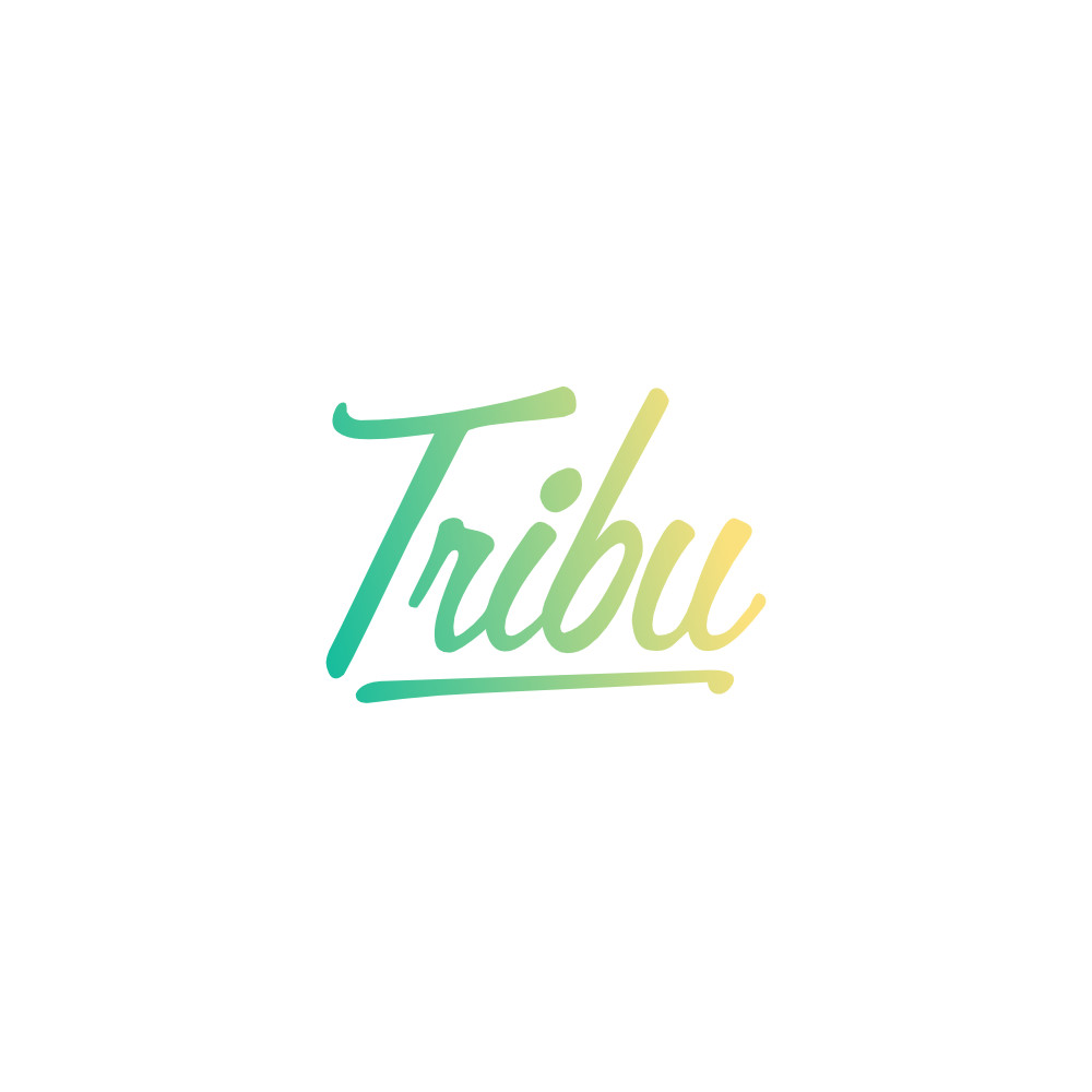 logo my tribu news